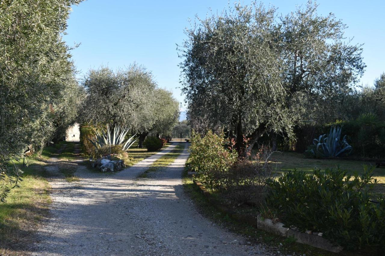 Villa Casa Ulivo Montinelle Exterior foto